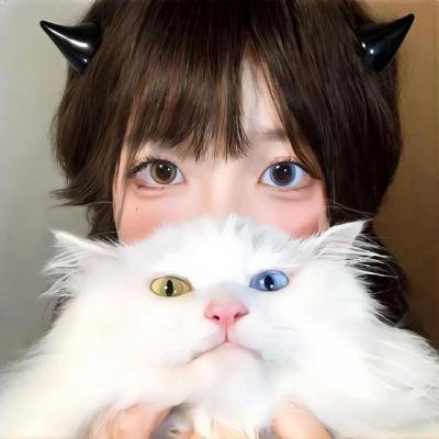 刘在街头第四季 在线观看